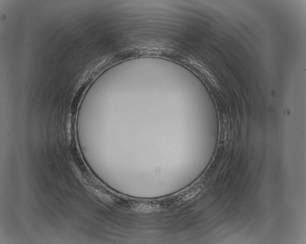 X0000085290494200703091058