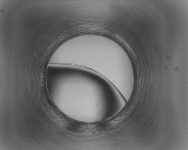 X0000085290497200703091058