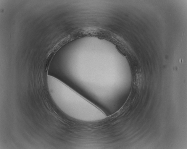 X0000085290508200703091057