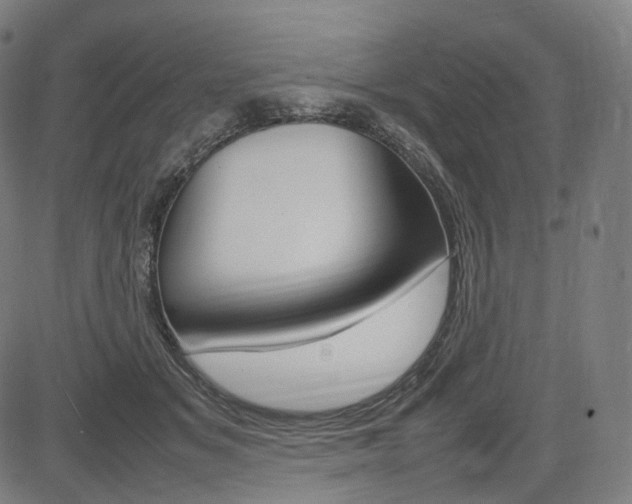 X0000085290509200703091057