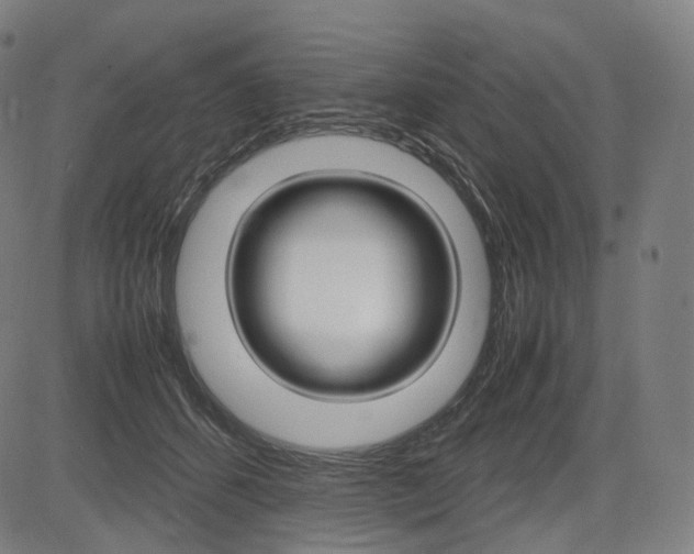 X0000085290512200703091057