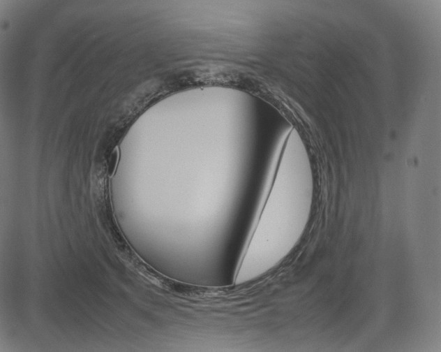 X0000085290513200703091057