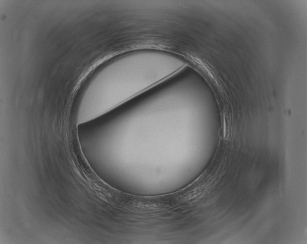 X0000085290531200703091056
