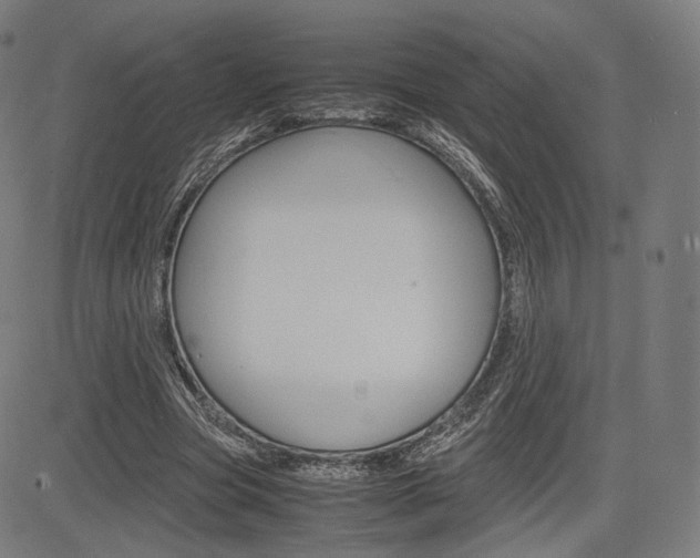 X0000085290537200703091056