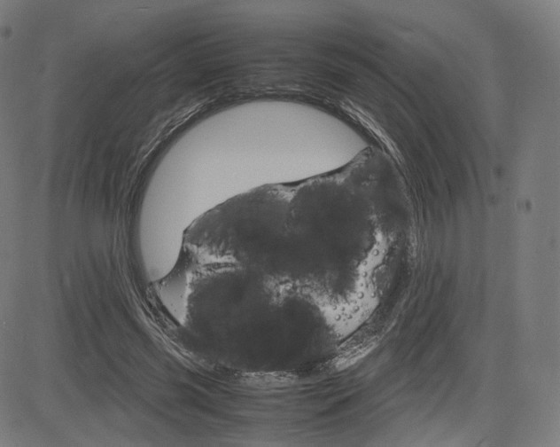 X0000085290541200703091056