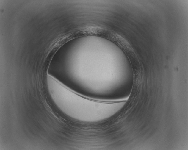 X0000085290548200703091057