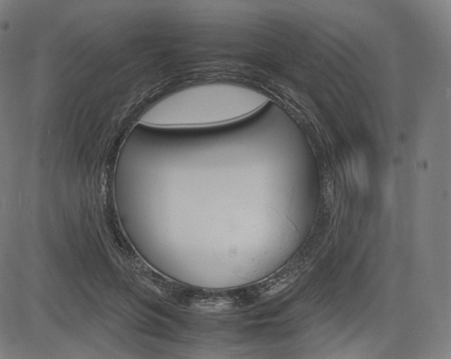 X0000085290551200703091057