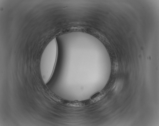 X0000085290567200703091057