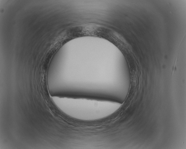 X0000085290603200703091056