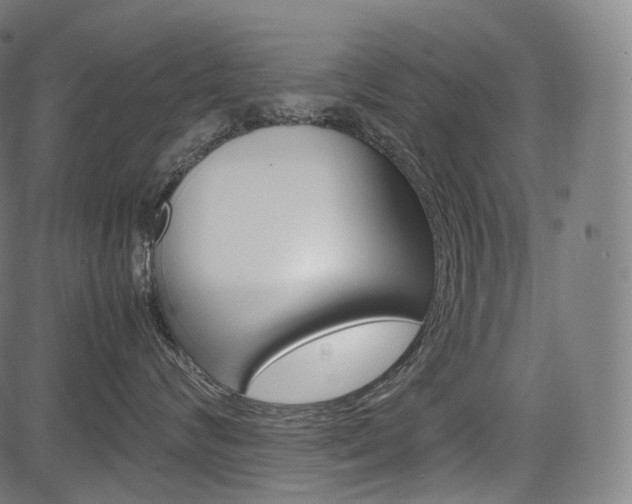 X0000085290624200703091055