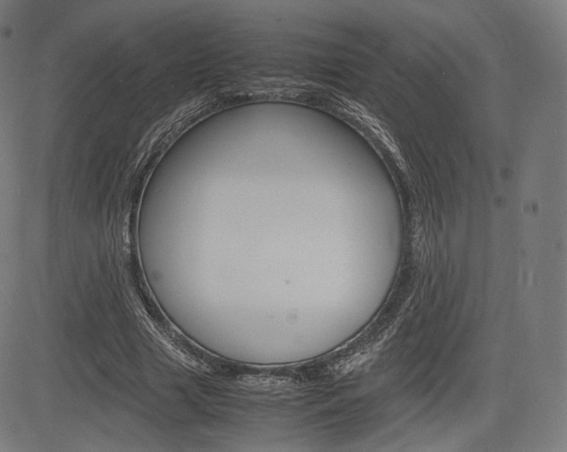 X0000085290633200703091055