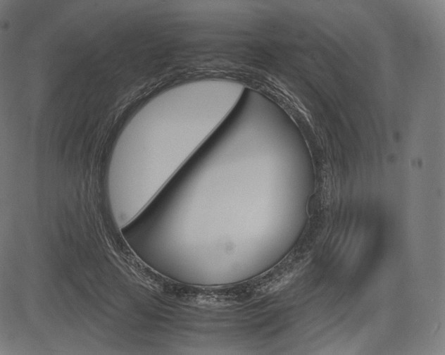 X0000085290641200703091055