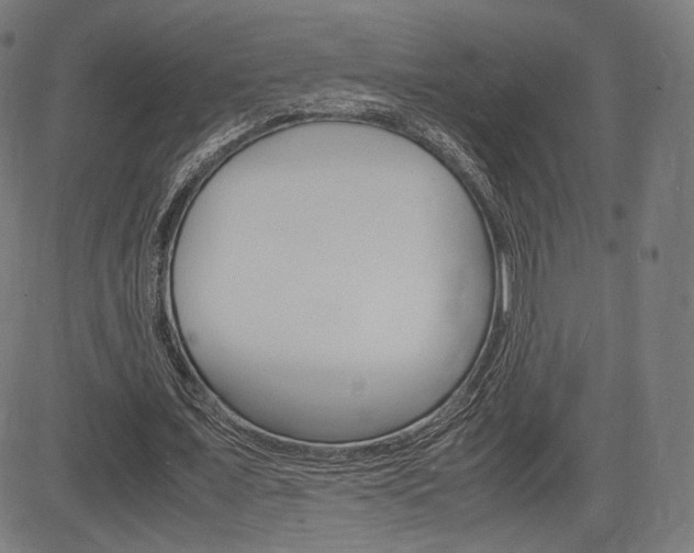 X0000085290675200703091055