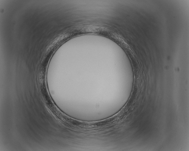 X0000085290683200703091055