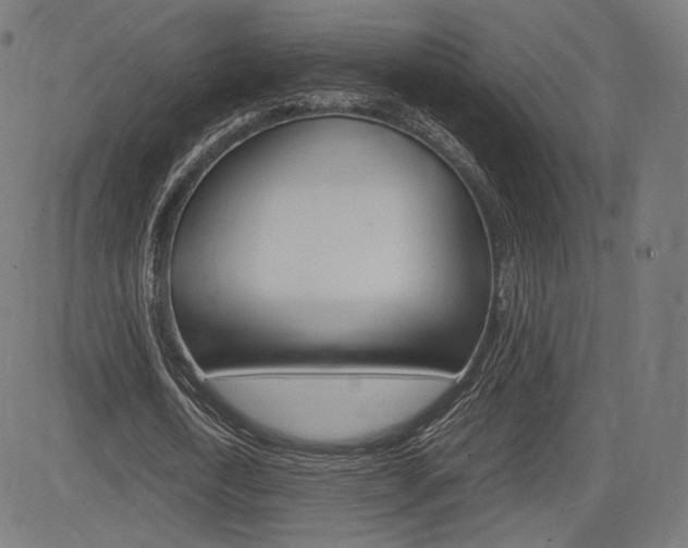 X0000085290722200703091053