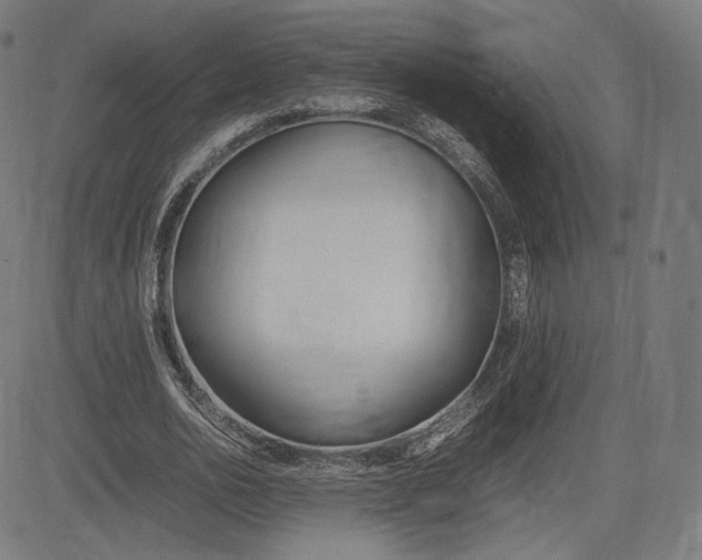 X0000085290726200703091053