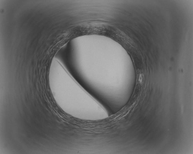 X0000085290771200703091053
