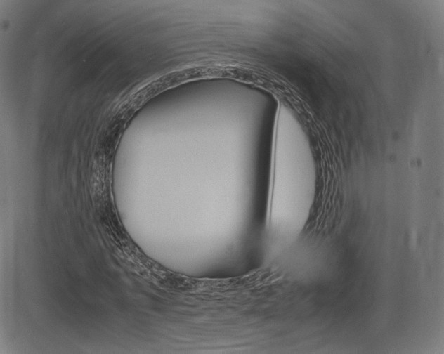 X0000085290773200703091053