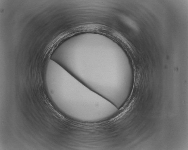 X0000085290778200703091053
