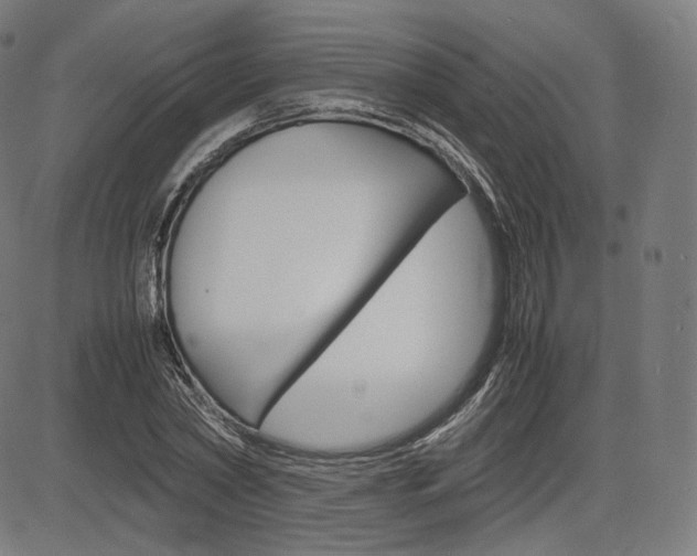 X0000085290782200703091053
