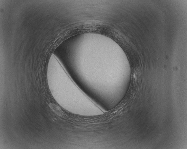 X0000085290867200703091051