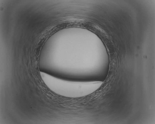 X0000085290869200703091051