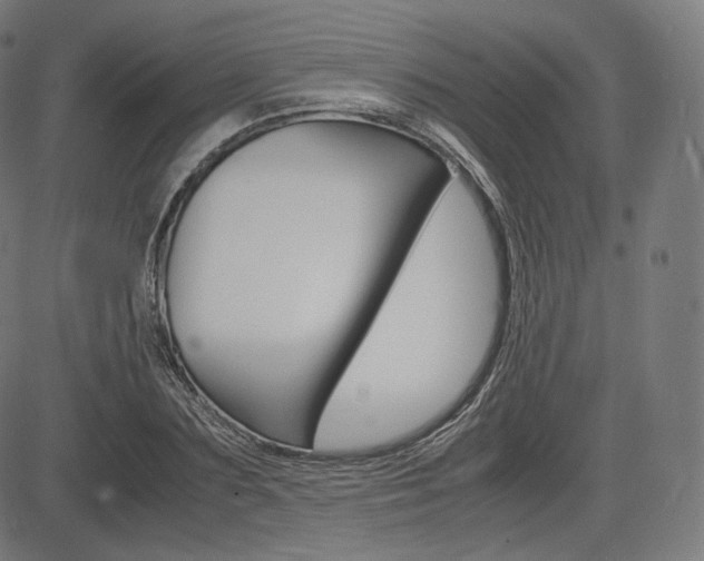 X0000085290883200703091051
