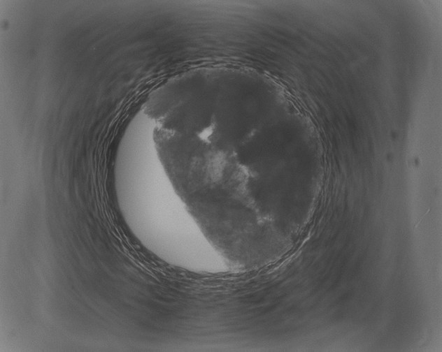 X0000085290913200703091050
