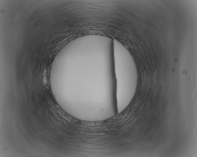 X0000085290962200703091050