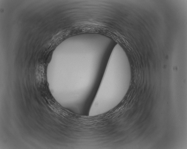X0000085290964200703091050