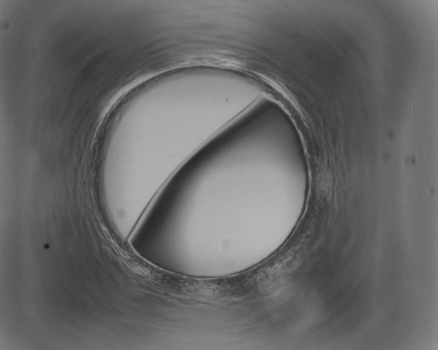 X0000085290971200703091050
