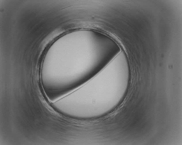 X0000085290987200703091049