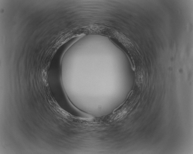 X0000085291010200703091048