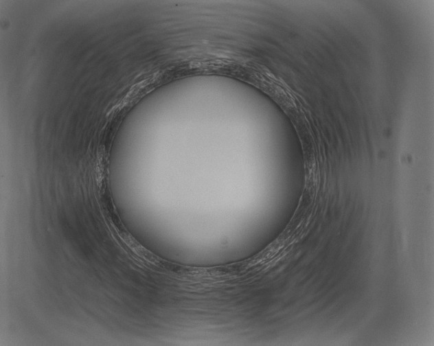 X0000085291012200703091048
