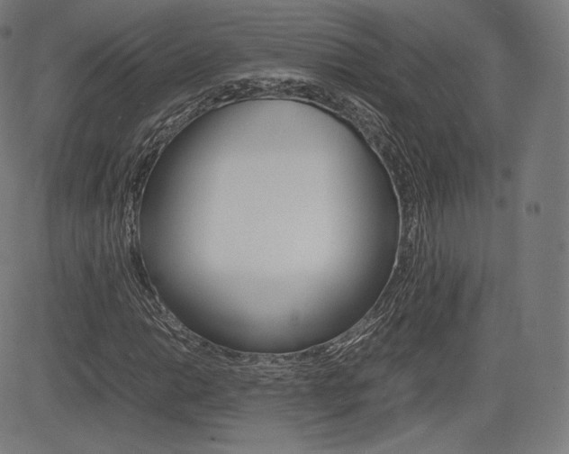 X0000085291014200703091048