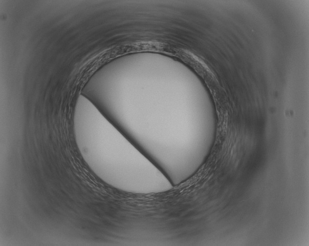 X0000085291015200703091048
