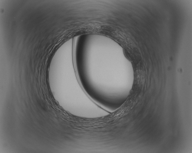 X0000085291057200703091048