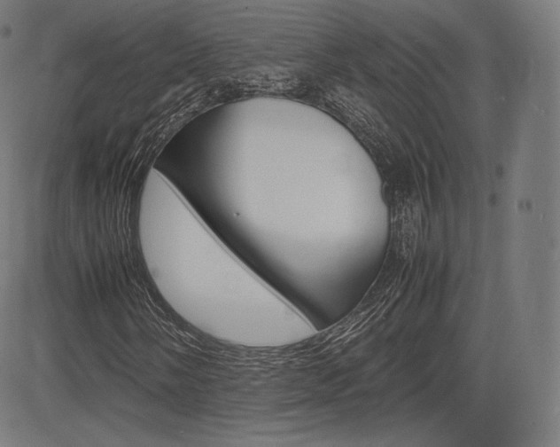 X0000085291058200703091048