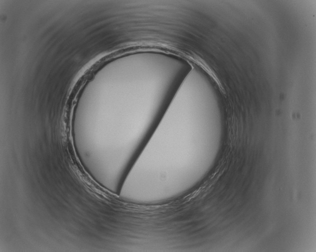 X0000085291068200703091048