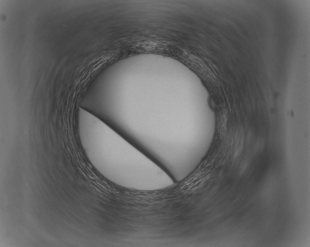 X0000085291105200703091047