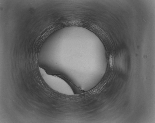 X0000085291107200703091047