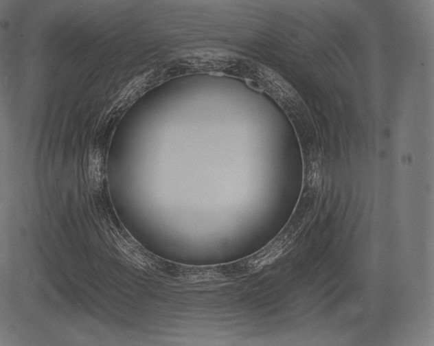 X0000085291108200703091047