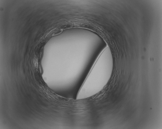 X0000085291155200703091047
