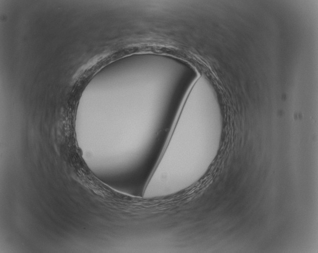 X0000085291159200703091047