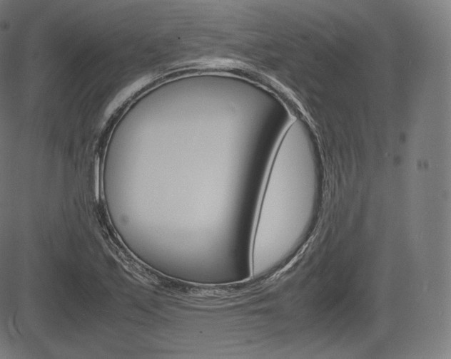 X0000085291171200703091046