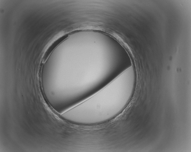 X0000085291189200703091046