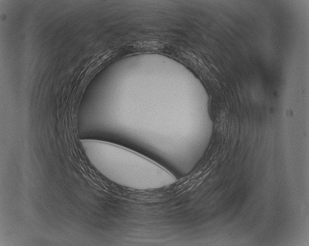 X0000085291201200703091045