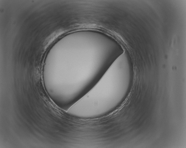 X0000085291212200703091045