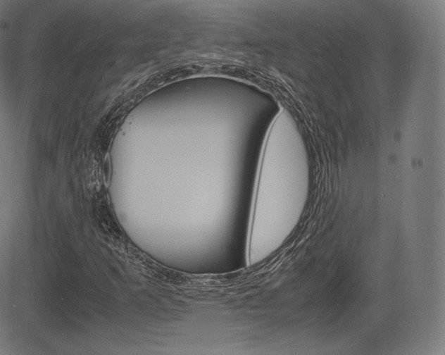 X0000085291253200703091045