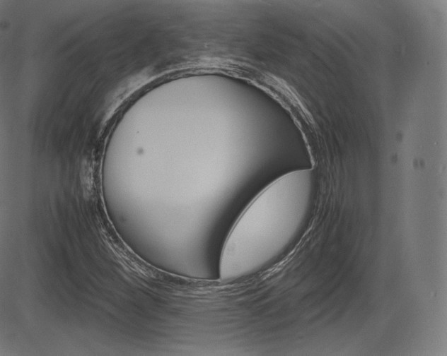 X0000085291260200703091045